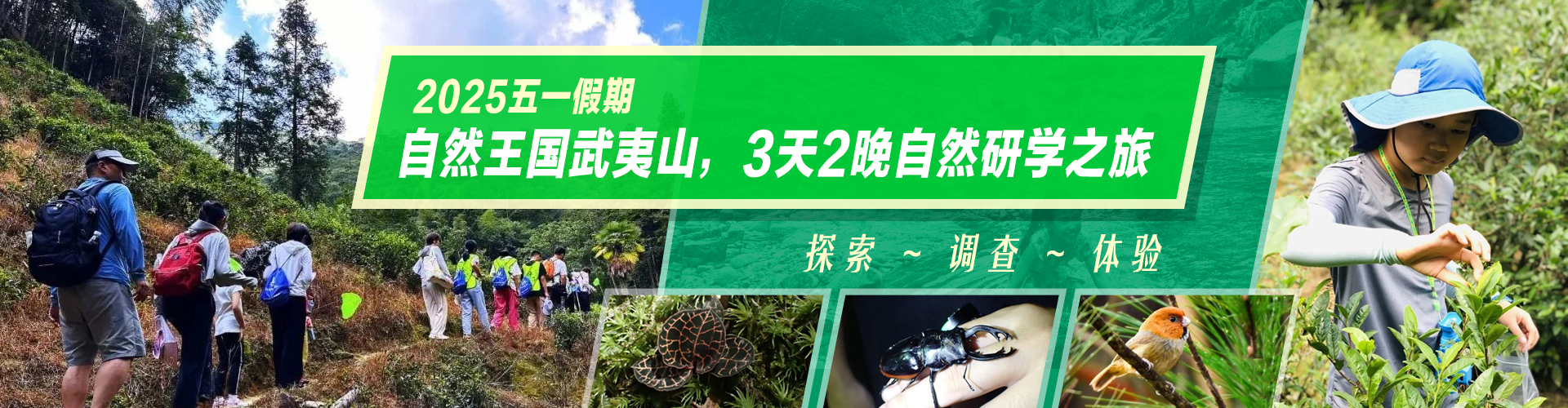 轮播图